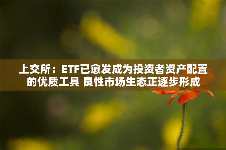 上交所：ETF已愈发成为投资者资产配置的优质工具 良性市场生态正逐步形成