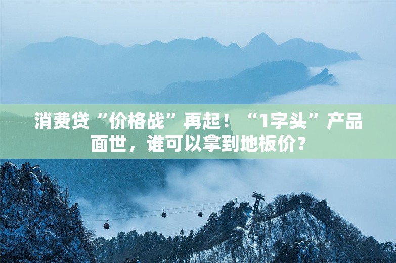 消费贷“价格战”再起！“1字头”产品面世，谁可以拿到地板价？