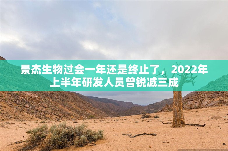 景杰生物过会一年还是终止了，2022年上半年研发人员曾锐减三成