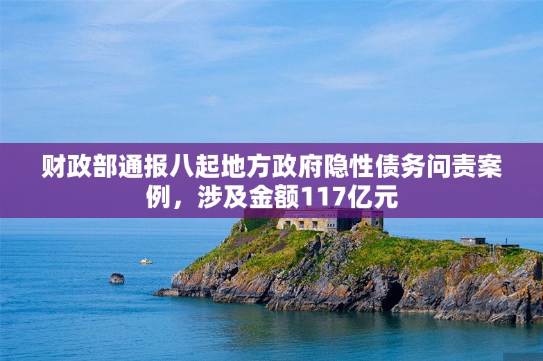 财政部通报八起地方政府隐性债务问责案例，涉及金额117亿元