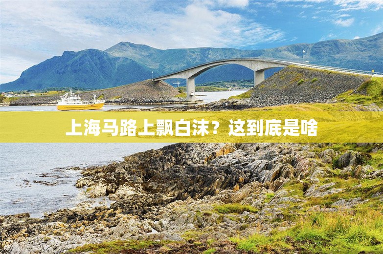 上海马路上飘白沫？这到底是啥