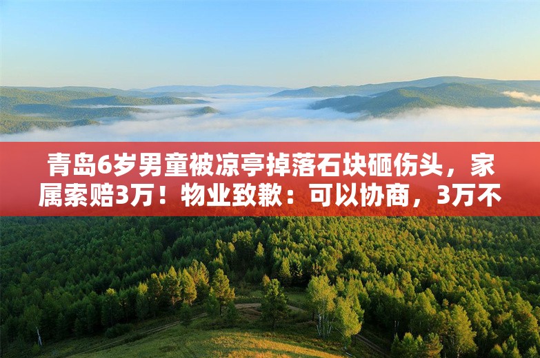 青岛6岁男童被凉亭掉落石块砸伤头，家属索赔3万！物业致歉：可以协商，3万不可能