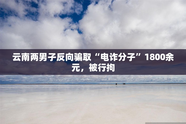 云南两男子反向骗取“电诈分子”1800余元，被行拘