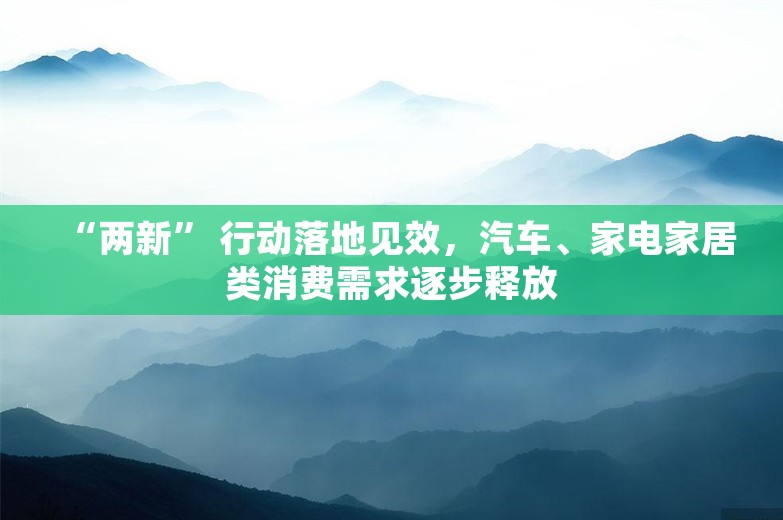 “两新” 行动落地见效，汽车、家电家居类消费需求逐步释放