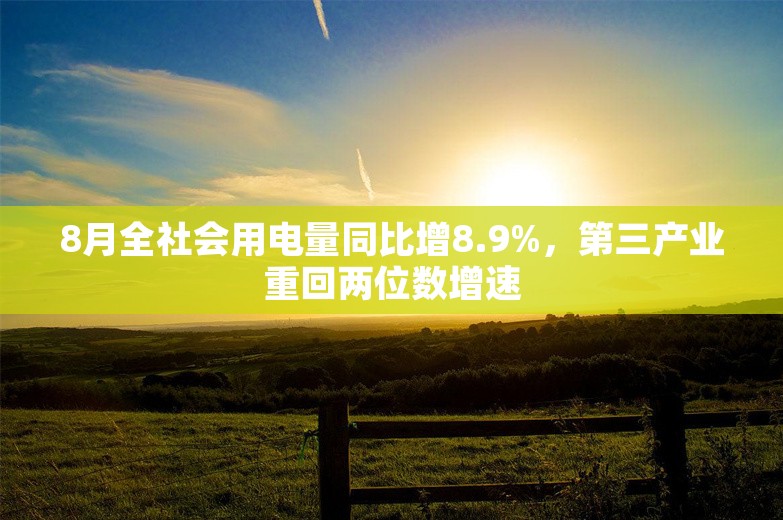 8月全社会用电量同比增8.9%，第三产业重回两位数增速