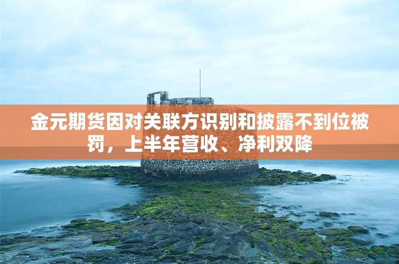 金元期货因对关联方识别和披露不到位被罚，上半年营收、净利双降