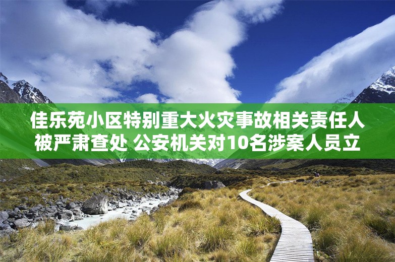 佳乐苑小区特别重大火灾事故相关责任人被严肃查处 公安机关对10名涉案人员立案侦查 纪检监察机关严肃问责55名公职人员