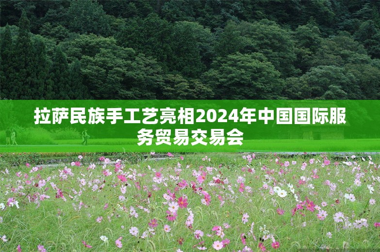 拉萨民族手工艺亮相2024年中国国际服务贸易交易会