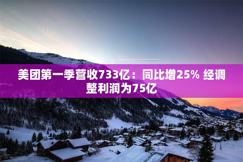 美团第一季营收733亿：同比增25% 经调整利润为75亿