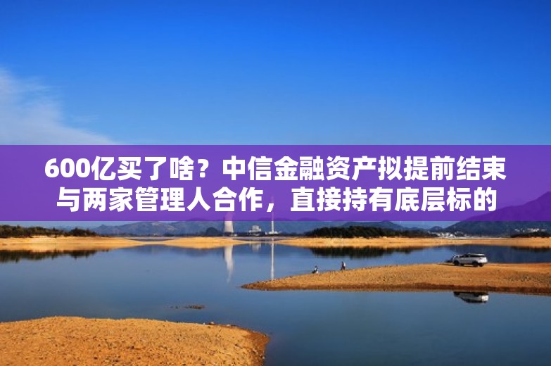 600亿买了啥？中信金融资产拟提前结束与两家管理人合作，直接持有底层标的