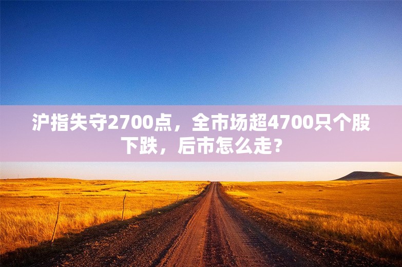 沪指失守2700点，全市场超4700只个股下跌，后市怎么走？