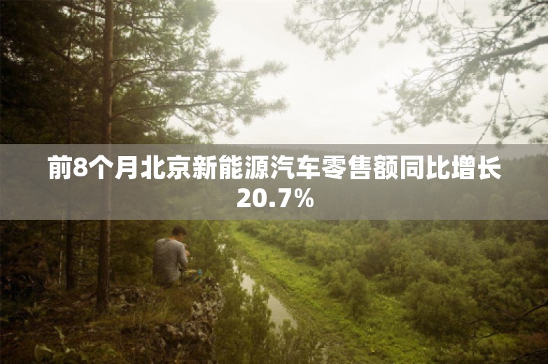 前8个月北京新能源汽车零售额同比增长20.7%