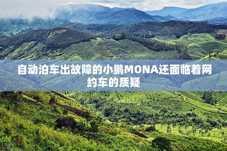 自动泊车出故障的小鹏MONA还面临着网约车的质疑