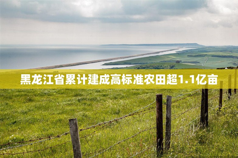 黑龙江省累计建成高标准农田超1.1亿亩