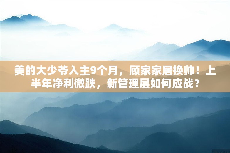 美的大少爷入主9个月，顾家家居换帅！上半年净利微跌，新管理层如何应战？