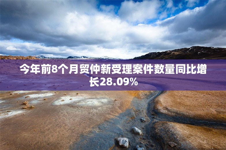 今年前8个月贸仲新受理案件数量同比增长28.09%