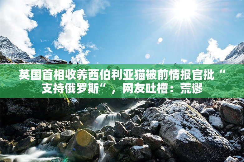 英国首相收养西伯利亚猫被前情报官批“支持俄罗斯”，网友吐槽：荒谬