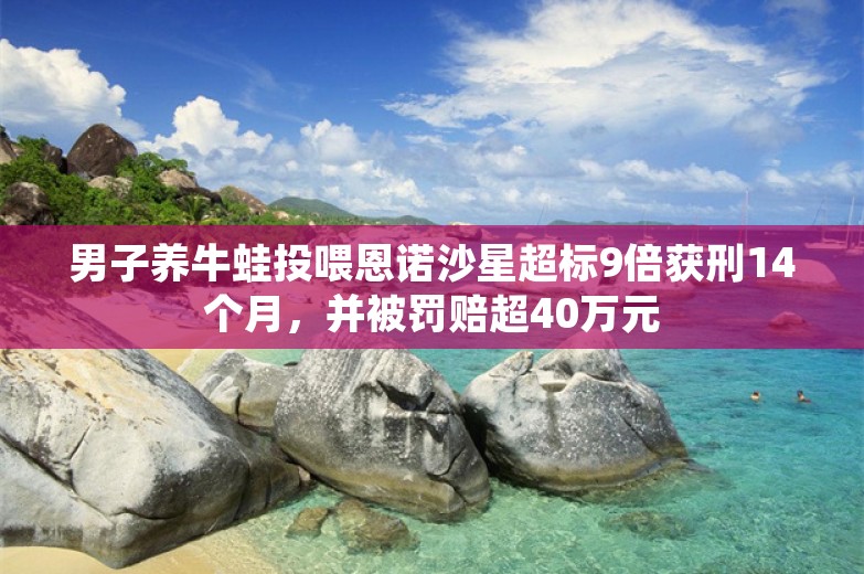 男子养牛蛙投喂恩诺沙星超标9倍获刑14个月，并被罚赔超40万元