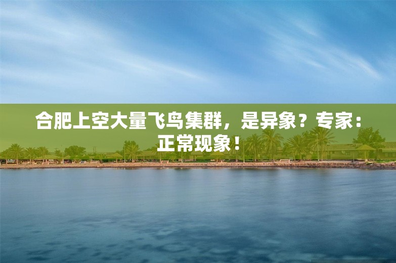 合肥上空大量飞鸟集群，是异象？专家：正常现象！