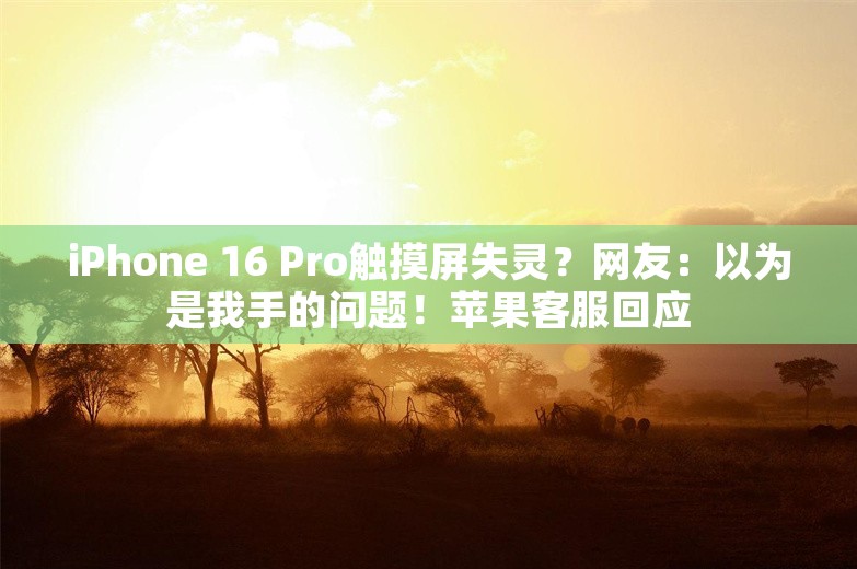 iPhone 16 Pro触摸屏失灵？网友：以为是我手的问题！苹果客服回应