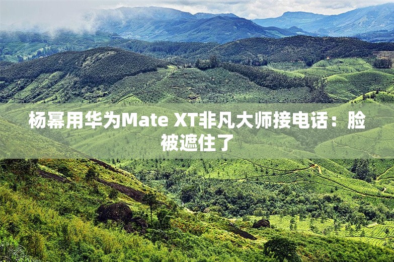 杨幂用华为Mate XT非凡大师接电话：脸被遮住了