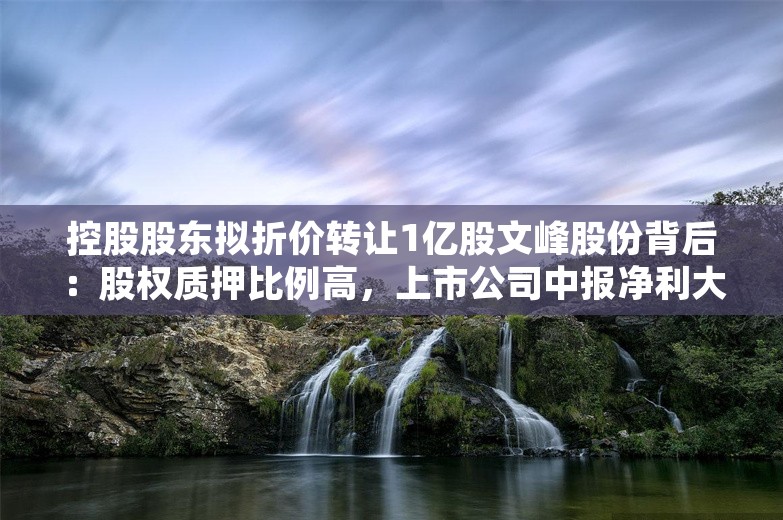 控股股东拟折价转让1亿股文峰股份背后：股权质押比例高，上市公司中报净利大降