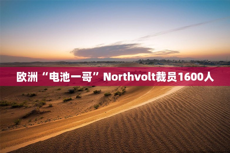 欧洲“电池一哥”Northvolt裁员1600人