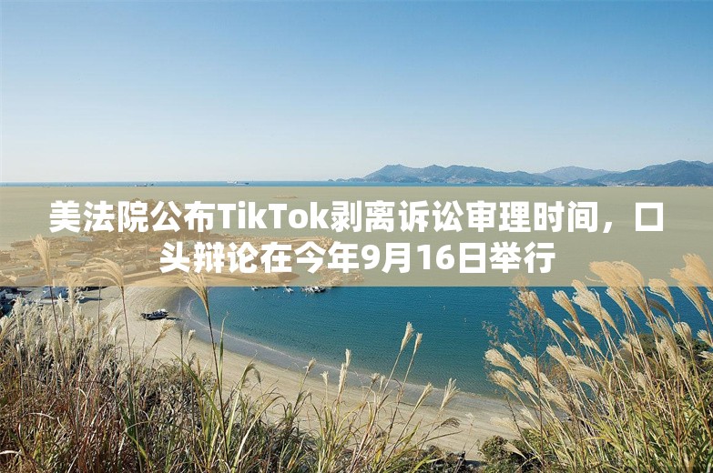 美法院公布TikTok剥离诉讼审理时间，口头辩论在今年9月16日举行