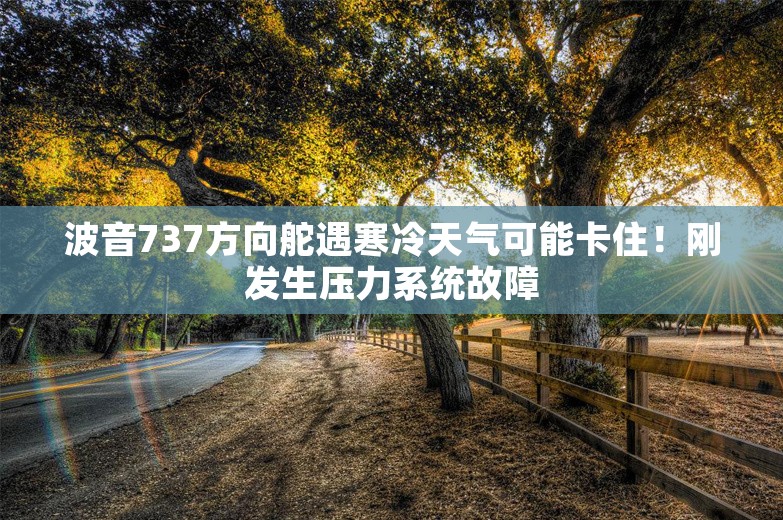 波音737方向舵遇寒冷天气可能卡住！刚发生压力系统故障