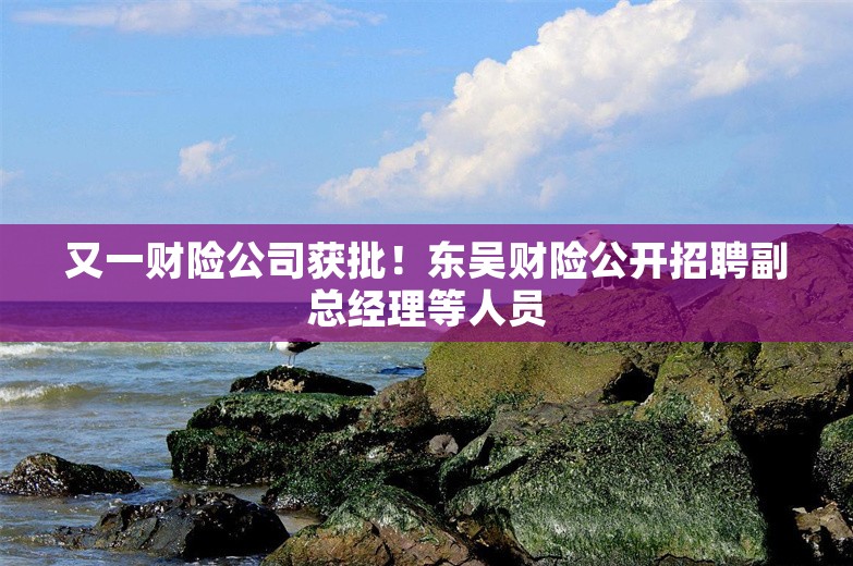 又一财险公司获批！东吴财险公开招聘副总经理等人员