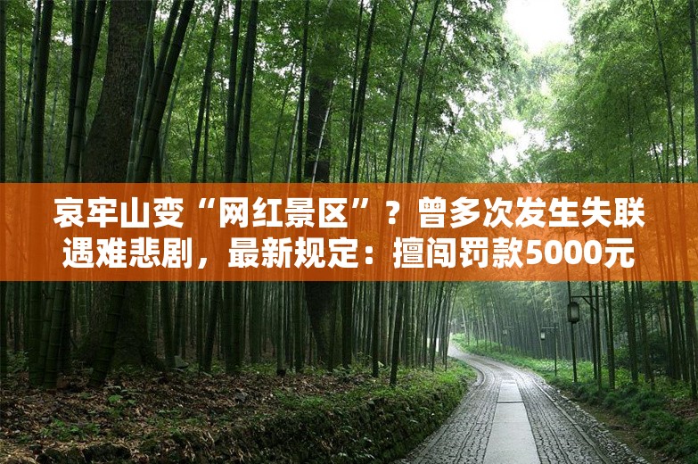 哀牢山变“网红景区”？曾多次发生失联遇难悲剧，最新规定：擅闯罚款5000元