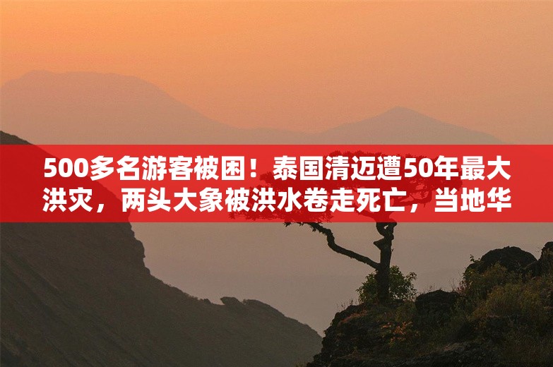 500多名游客被困！泰国清迈遭50年最大洪灾，两头大象被洪水卷走死亡，当地华人：部分地方水深齐胸