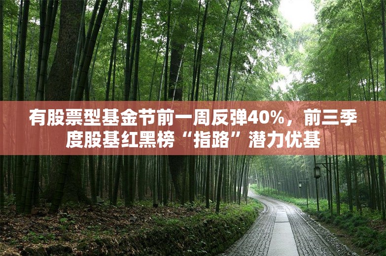 有股票型基金节前一周反弹40%，前三季度股基红黑榜“指路”潜力优基