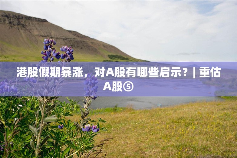 港股假期暴涨，对A股有哪些启示？| 重估A股⑤