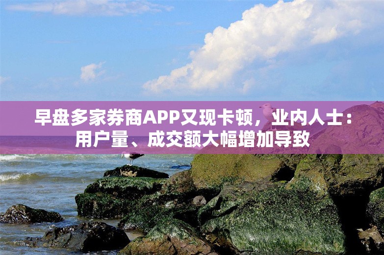 早盘多家券商APP又现卡顿，业内人士：用户量、成交额大幅增加导致