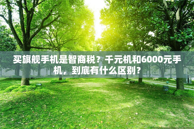 买旗舰手机是智商税？千元机和6000元手机，到底有什么区别？