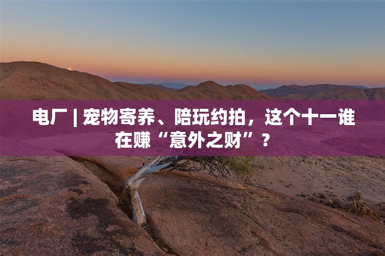 电厂 | 宠物寄养、陪玩约拍，这个十一谁在赚“意外之财”？