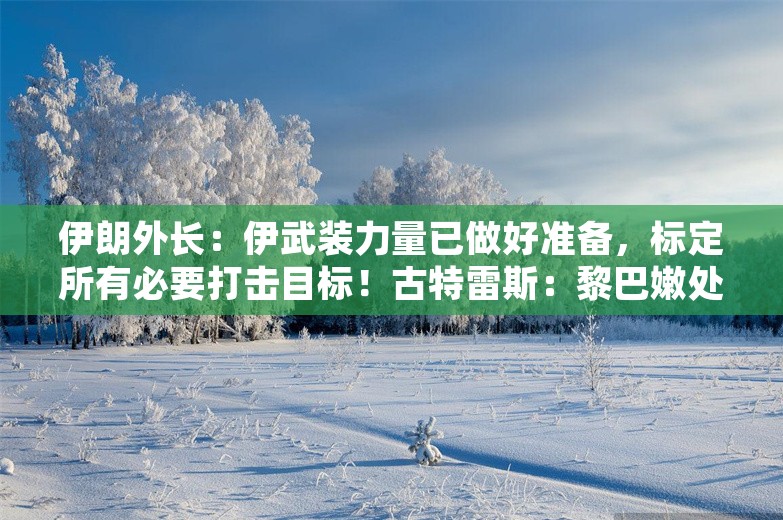 伊朗外长：伊武装力量已做好准备，标定所有必要打击目标！古特雷斯：黎巴嫩处于爆发全面战争的边缘