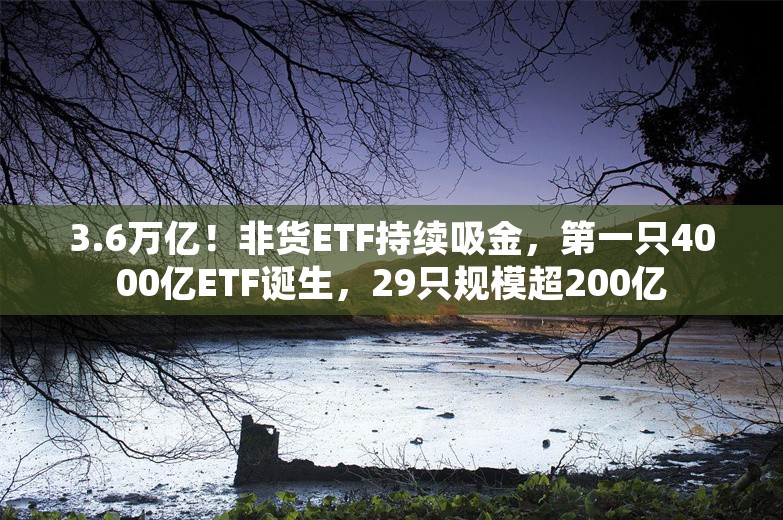 3.6万亿！非货ETF持续吸金，第一只4000亿ETF诞生，29只规模超200亿