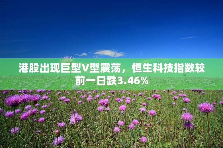 港股出现巨型V型震荡，恒生科技指数较前一日跌3.46%