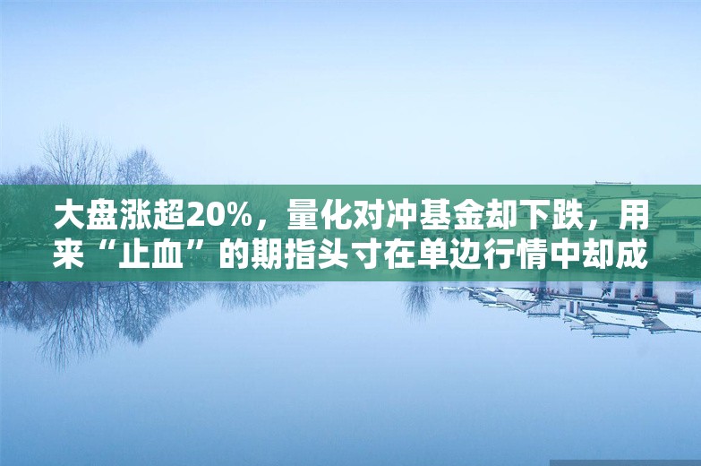 大盘涨超20%，量化对冲基金却下跌，用来“止血”的期指头寸在单边行情中却成“背刺”