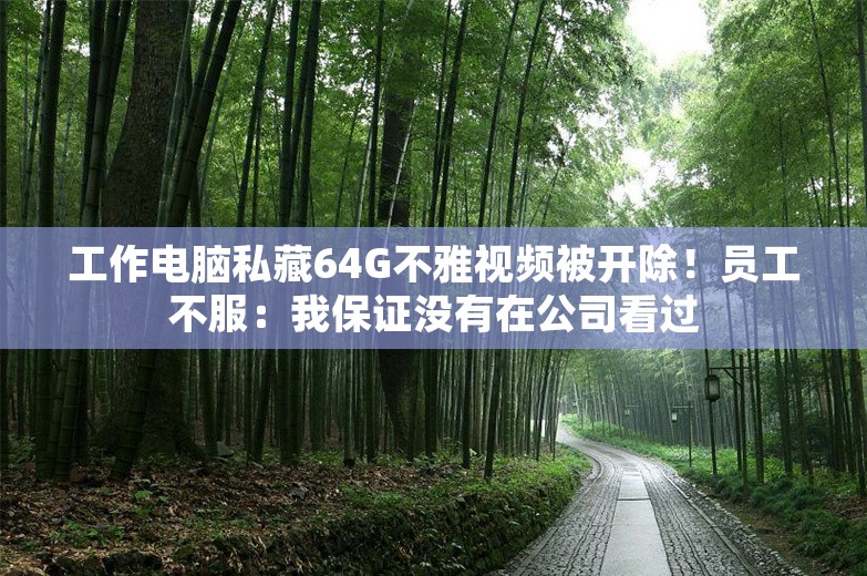 工作电脑私藏64G不雅视频被开除！员工不服：我保证没有在公司看过