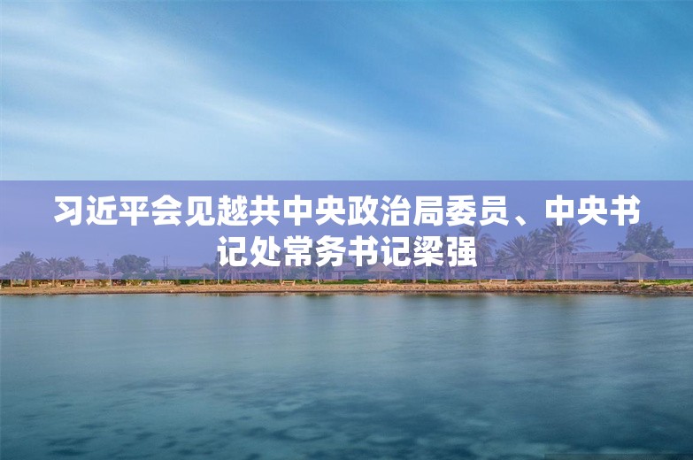 习近平会见越共中央政治局委员、中央书记处常务书记梁强