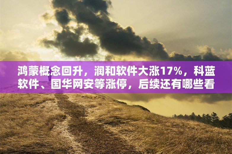 鸿蒙概念回升，润和软件大涨17%，科蓝软件、国华网安等涨停，后续还有哪些看点？