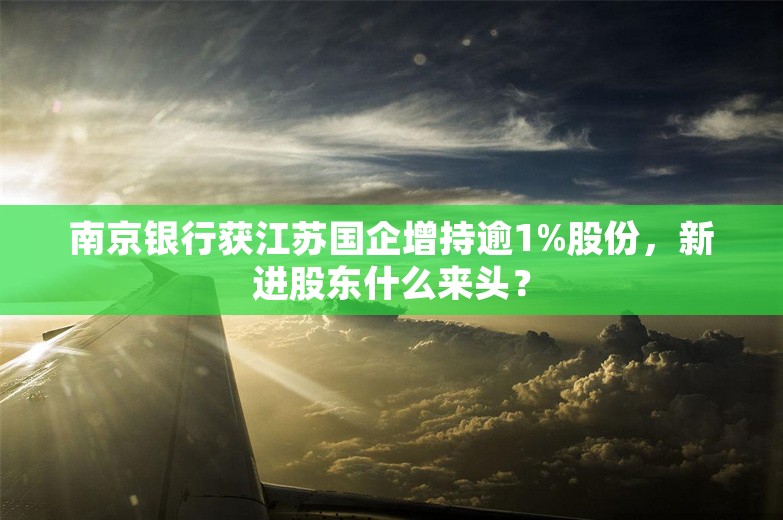 南京银行获江苏国企增持逾1%股份，新进股东什么来头？