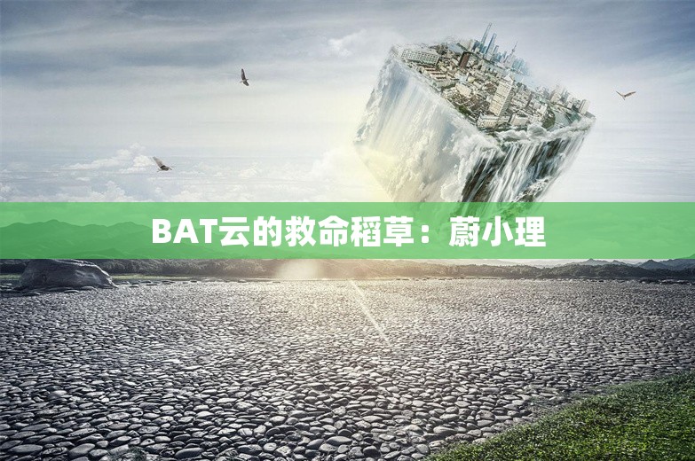 BAT云的救命稻草：蔚小理