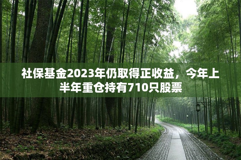 社保基金2023年仍取得正收益，今年上半年重仓持有710只股票