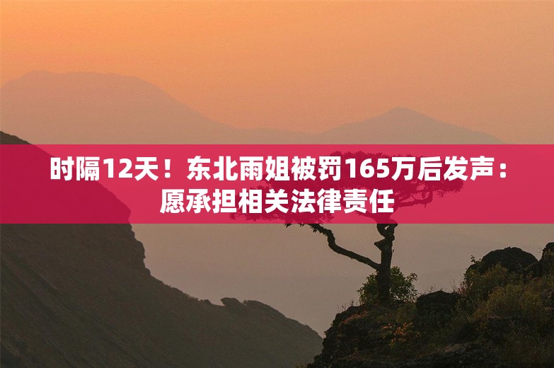 时隔12天！东北雨姐被罚165万后发声：愿承担相关法律责任