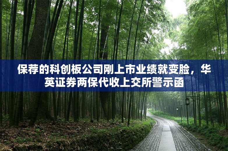 保荐的科创板公司刚上市业绩就变脸，华英证券两保代收上交所警示函