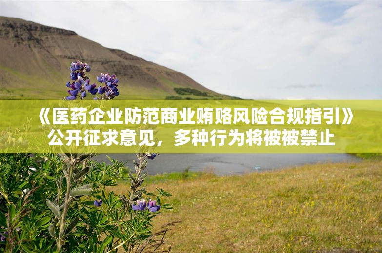 《医药企业防范商业贿赂风险合规指引》公开征求意见，多种行为将被被禁止